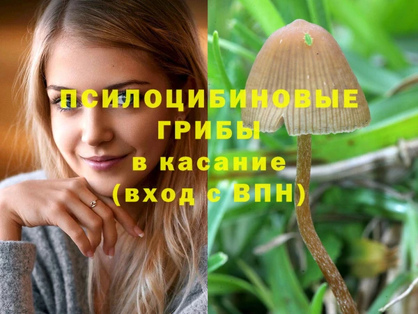 шишки Навашино