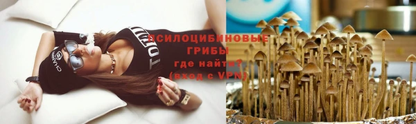 дурь Михайлов