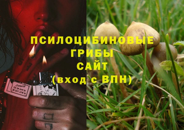 дурь Михайлов