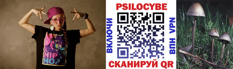 магазин продажи наркотиков  Цимлянск  Галлюциногенные грибы GOLDEN TEACHER 